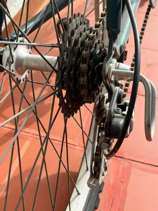 Bicicleta Orbea MTB Verde