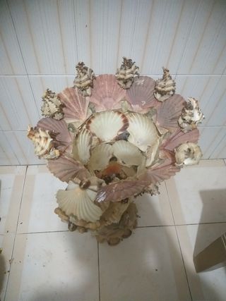 Original copa decorativa con  conchas marinas