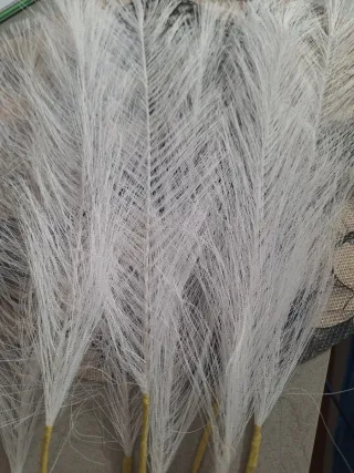 Ramos de pampas blancas artificiales