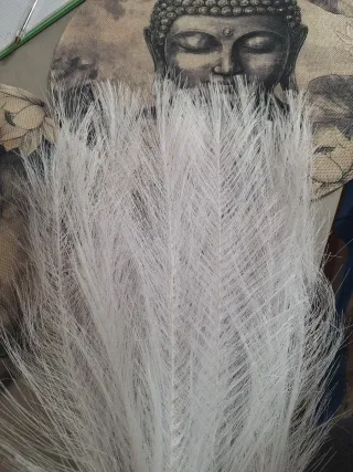 Ramos de pampas blancas artificiales