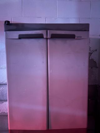 Armario resina Tord 2 puertas y estante