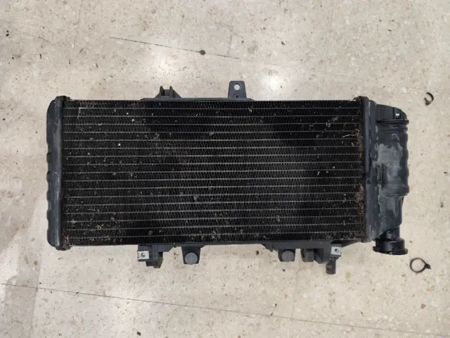 Radiador BMW F 800 GS