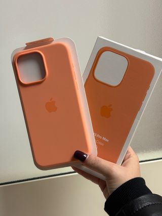 Cover MagSafe per iPhone 15 Pro Max