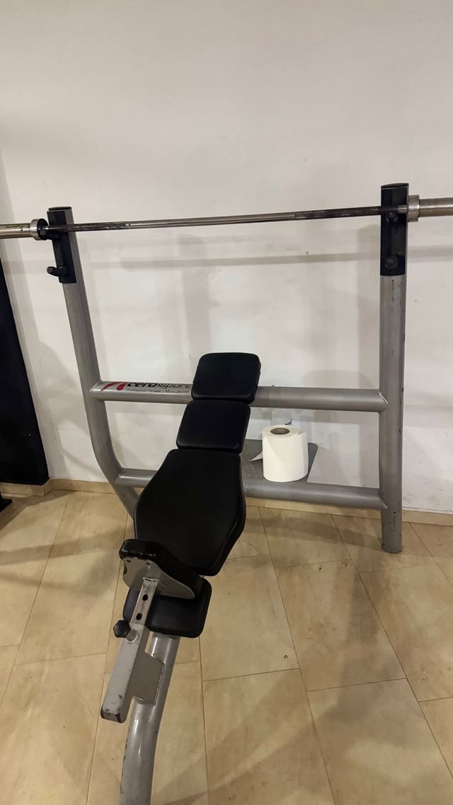 Press inclinado profesional