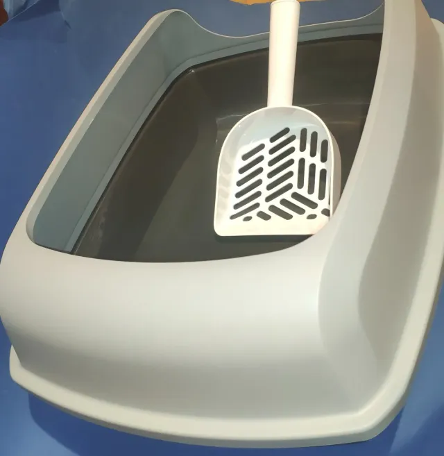 Lote arenero, rascador y bols para gato