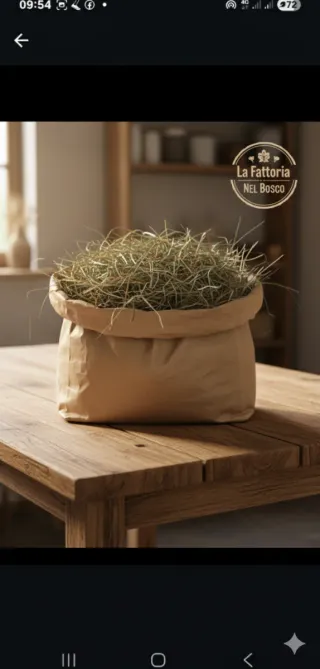 Fieno Essiccato al sole 100% Naturale (2kg)