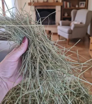 Fieno Essiccato al sole 100% Naturale (2kg)