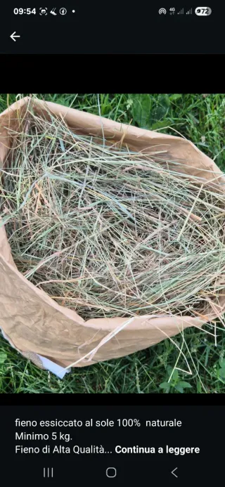 Fieno Essiccato al sole 100% Naturale (2kg)