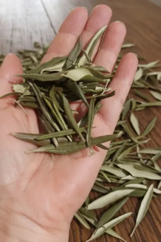 Foglie di ulivo essiccate 50g