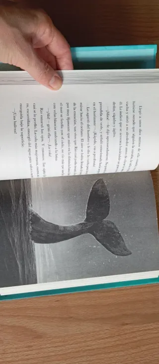 Libros infantil juvenil La ballena perdida
