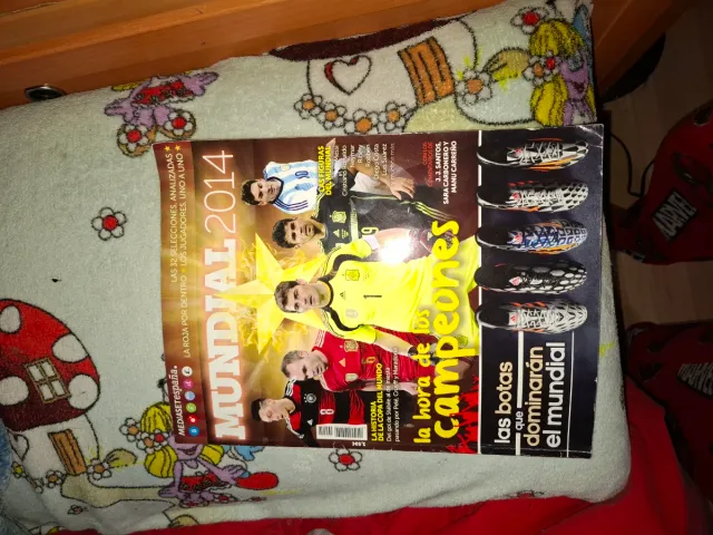 Lote Guías Copas del Mundo