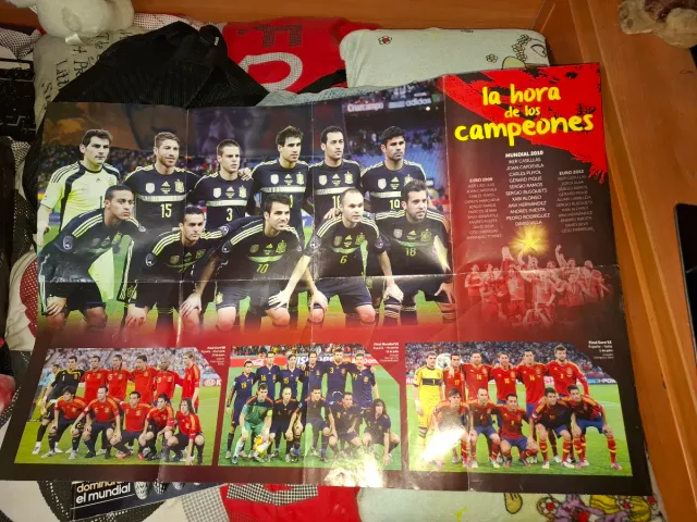 Lote Guías Copas del Mundo