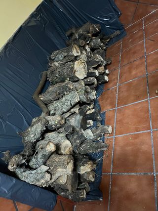 Leña de olivo para chimenea