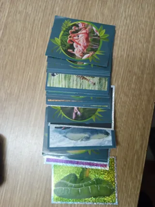 Cromos Animales los records Panini