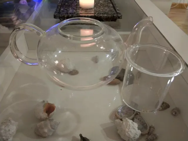 Tetera de cristal transparente sin tapa