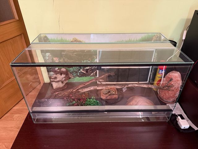Terrario de cristal para reptiles