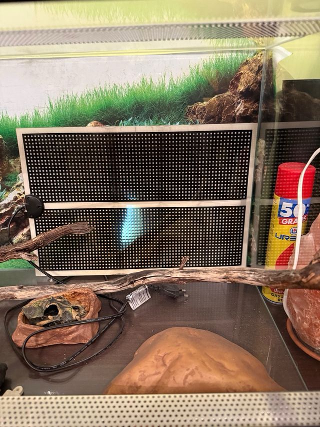 Terrario de cristal para reptiles