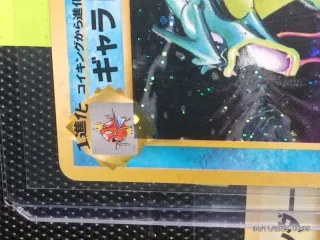 Zapdos Holo Japonés 30€ Gyarados Japones 40€