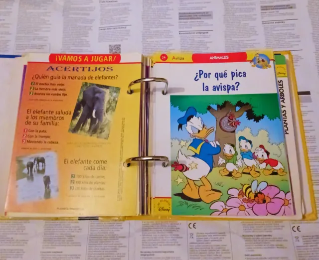 Fichero planeta Disney