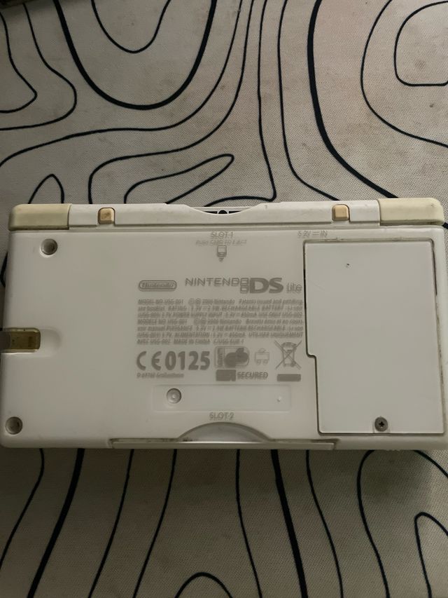 Nintendo DS Bianca