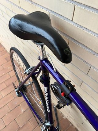 Bicicleta Carretera Razesa Morada