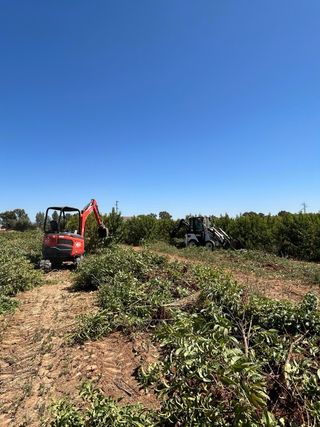 Excavaciones y Movimientos de Tierras.