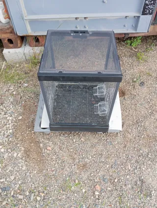 Jaula para pájaros negra y transparente