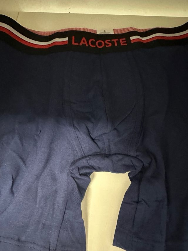 Boxers colombianos  Talla L