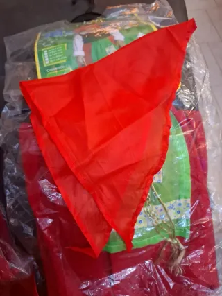 Disfraz Pastora Talla 4-6 + 4 libros