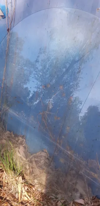 Lote 2 cristales redondos