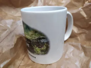 Taza Fauna Ibérica - Salamandra común y rabilarga