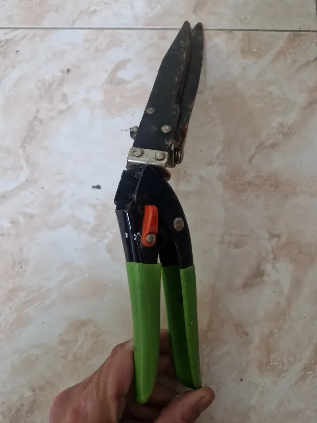 Tijeras de podar para arbustos