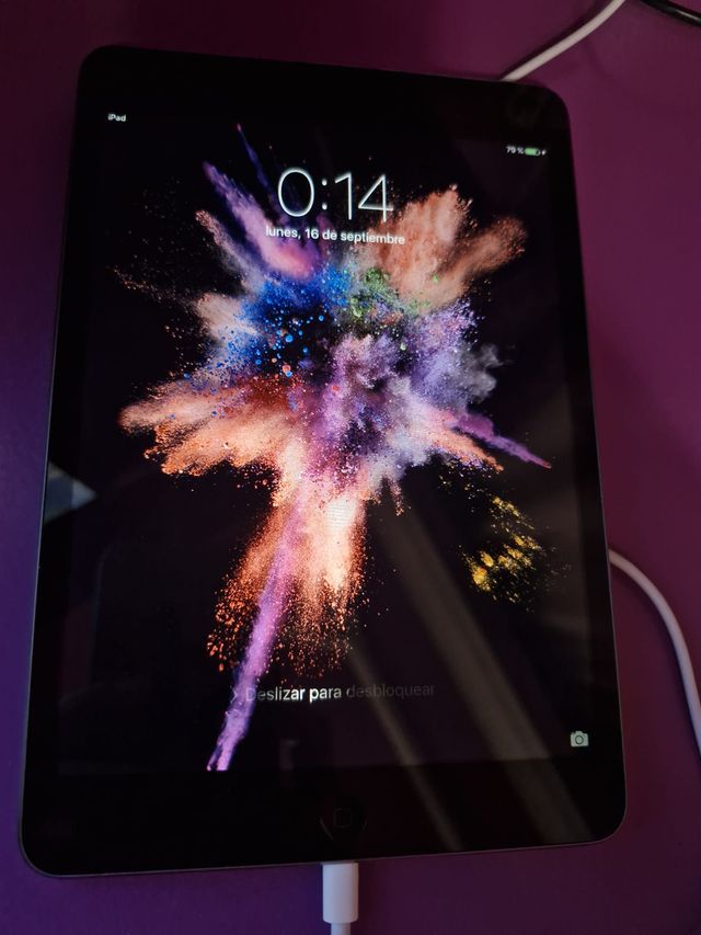 IPad Mini WiFi 16GB Gris