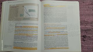 Fundamentos de economía