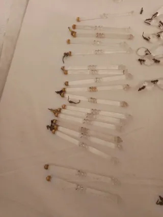 Lagrimas de cristal para lámpara