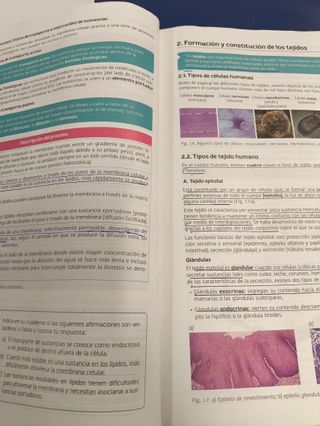 Técnicas Básicas de Enfermería - 9788448609610