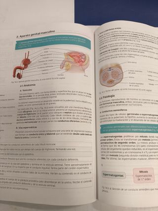 Técnicas Básicas de Enfermería - 9788448609610