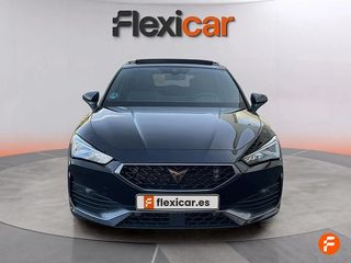 Cupra León SP 1.5 eTSI 110kW (150CV) DSG