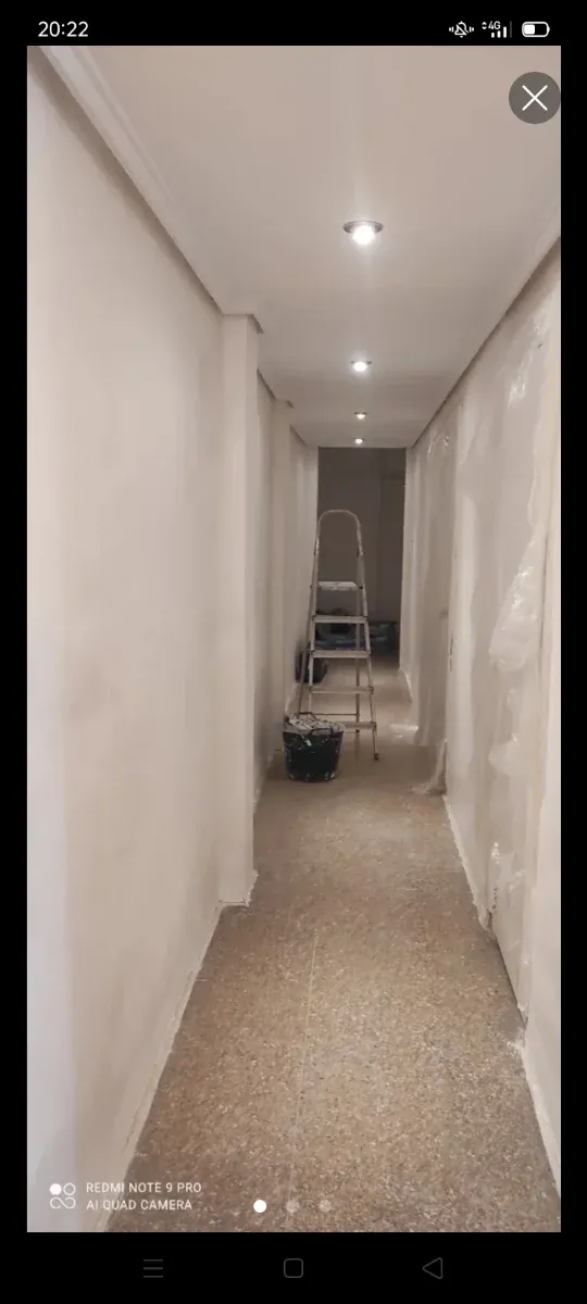 Pintor profesional: fachadas, casas, pisos