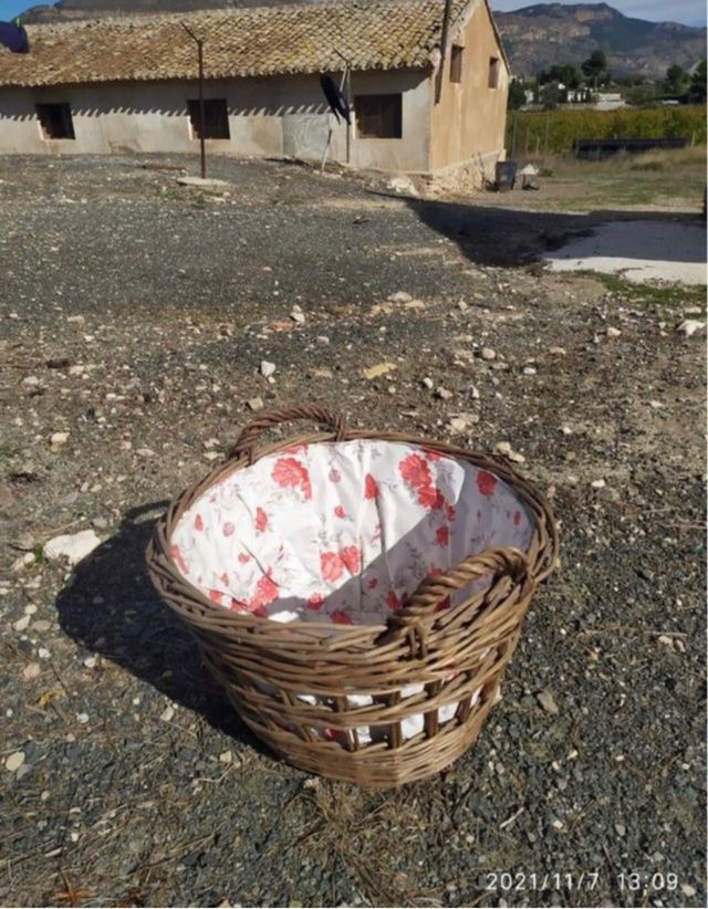 PRECIOSA Cesta de mimbre con forro floral