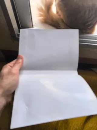 🇪🇸Resident Evil Revelations Wii U