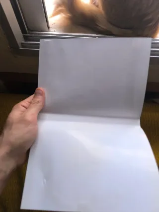 🇪🇸Resident Evil Revelations Wii U