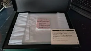 Zelda Tears of the Kingdom coleccionista