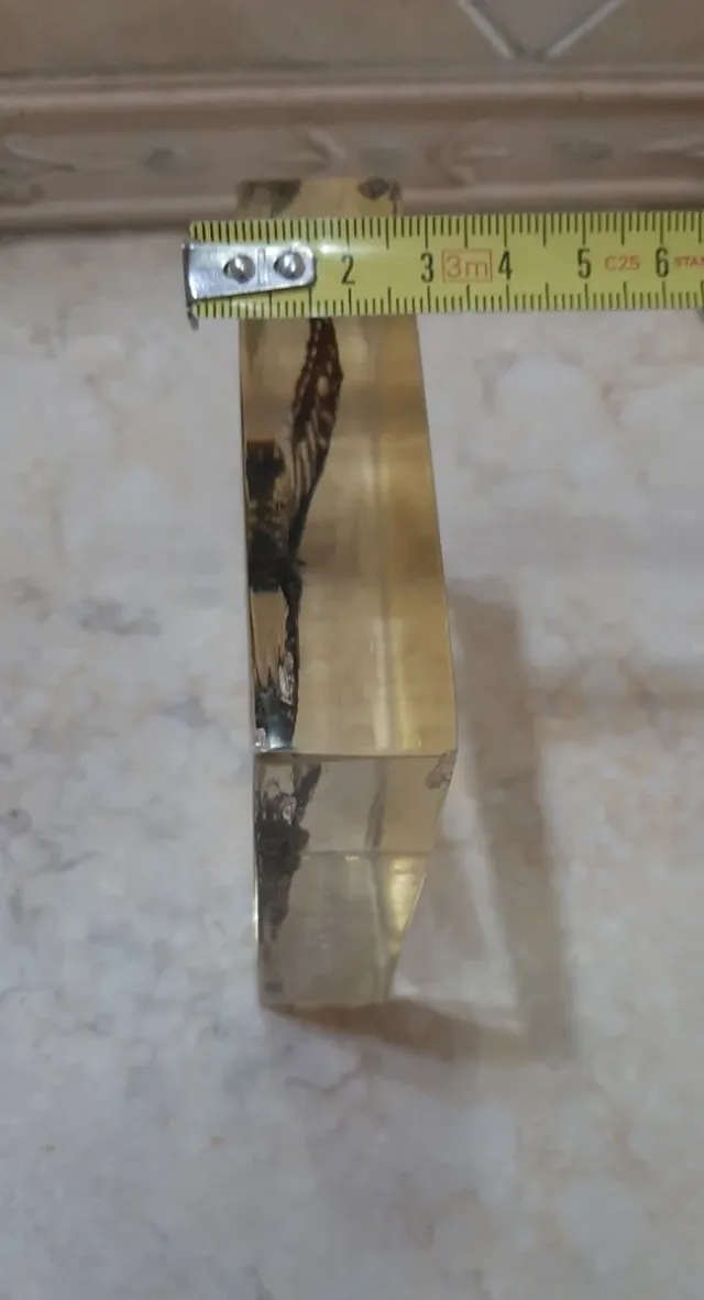 Fermacarte farfalla vera in resina