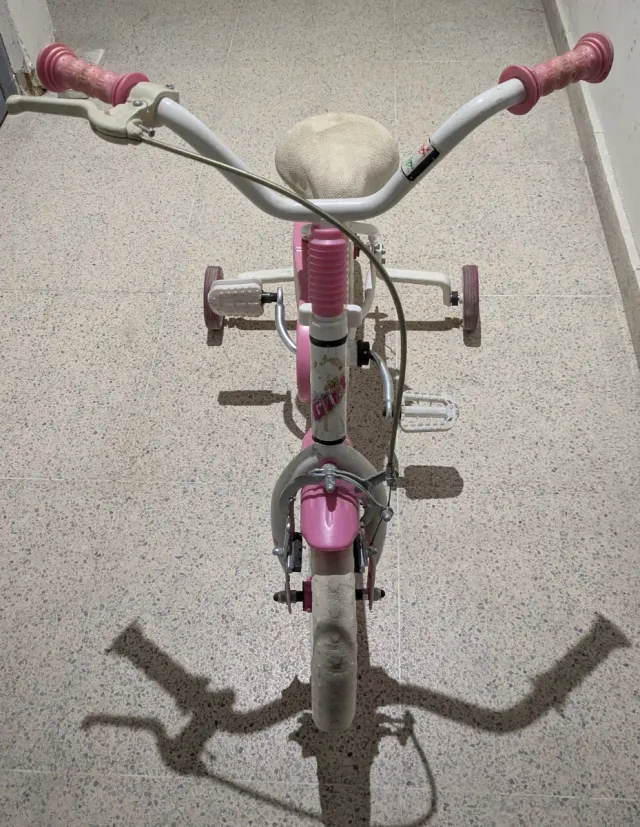 Bici niña rosa con ruedines