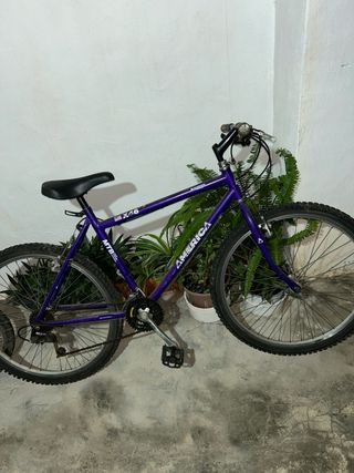 Bicicleta Morada America MTB
