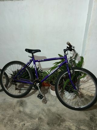 Bicicleta Morada America MTB