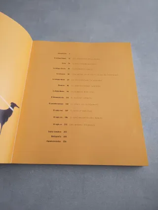 HISTORIA DE LA MODA. Bronwyn Cosgrave