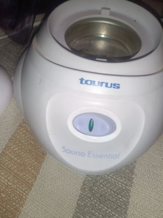 Sauna y Kin Esential Taurus