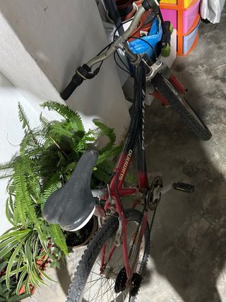 Bicicleta infantil ROMANI SHIMANO